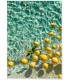 Affiche Lemon Water