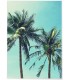 Affiche Palm Trees 2