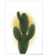 Poster Cactus
