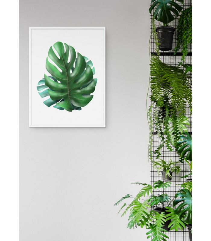 Affiche Monstera