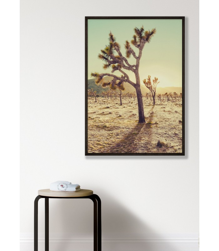 Affiche Nature Desert 1