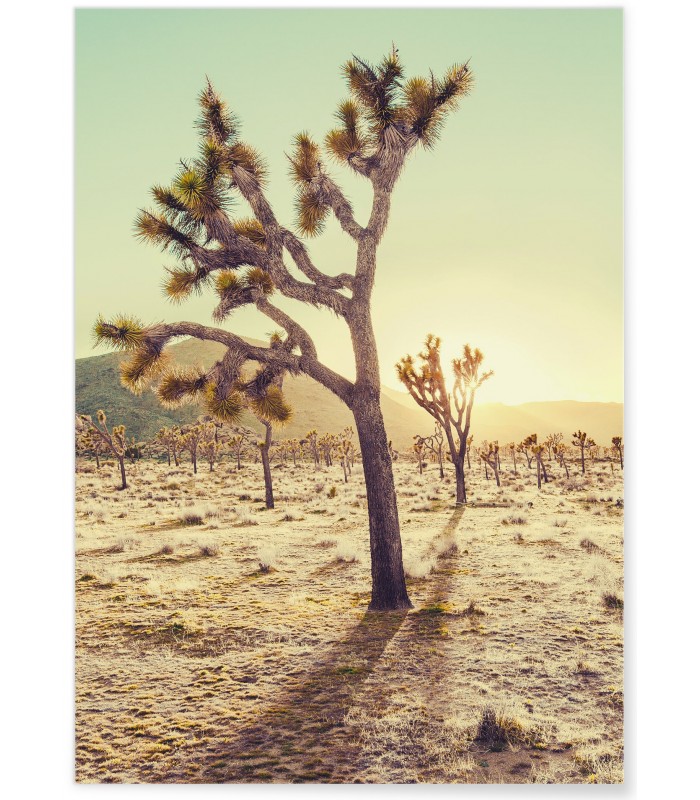 Affiche Nature Desert 1