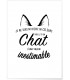 Affiche "Chat inestimable..."