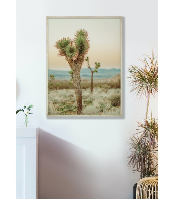 Affiche Nature Desert 4