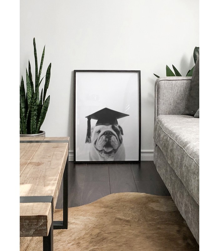 Affiche Bulldog Gaston