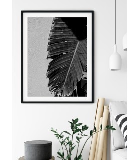Affiche Palmier noir et blanc 2
