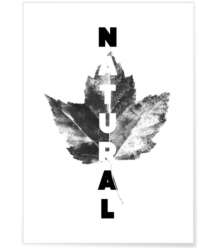 Affiche Natural