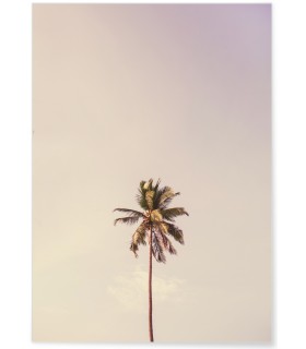 Affiche Palm Trees 6