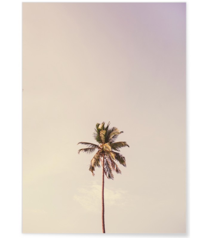 Affiche Palm Trees 6