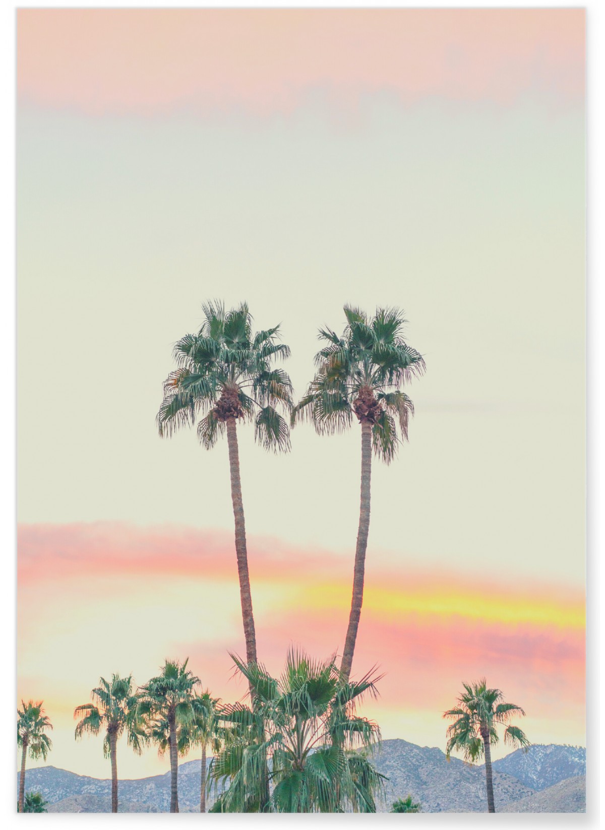 Affiche Nature Tropicale pour salon zen | L’Afficherie