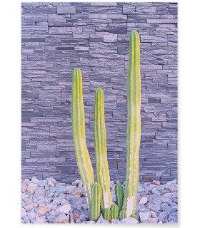 Affiche nature Cactus 2