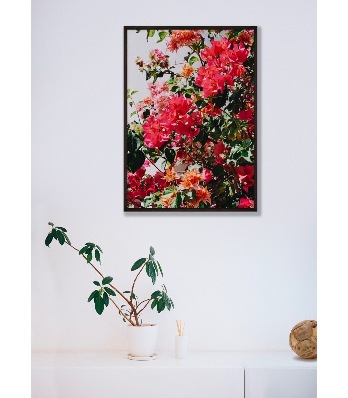 Poster Fleurs