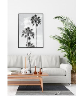 Affiche Palmier noir et blanc 3
