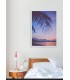 Affiche Nature Tropicale 6