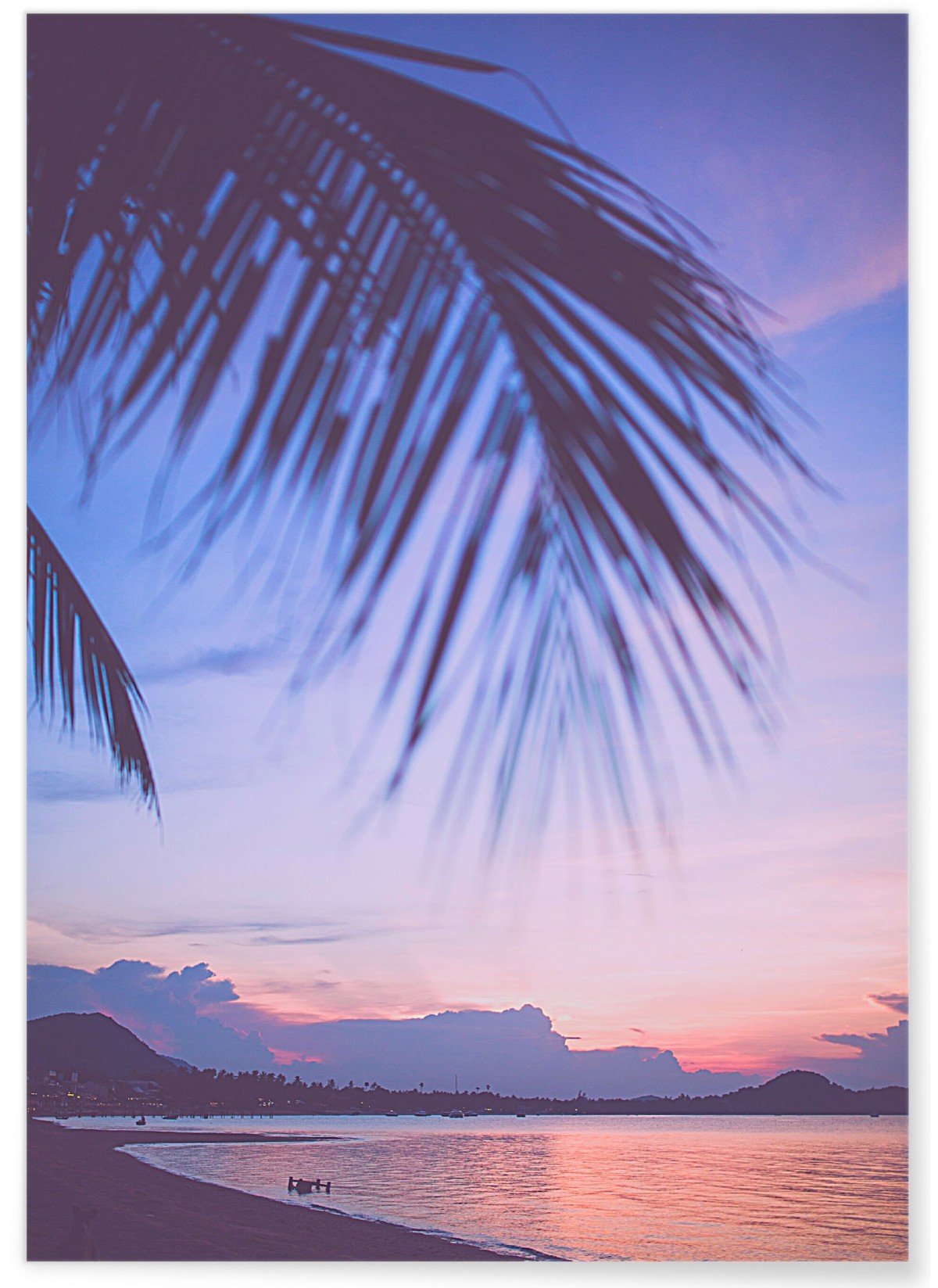 Affiche Nature Tropicale 6