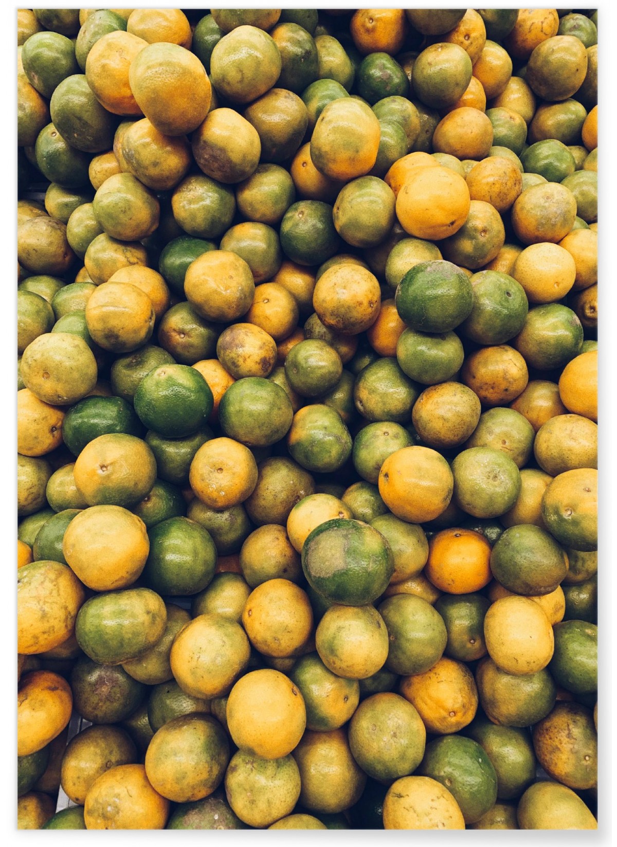 Affiche Nature Fruits