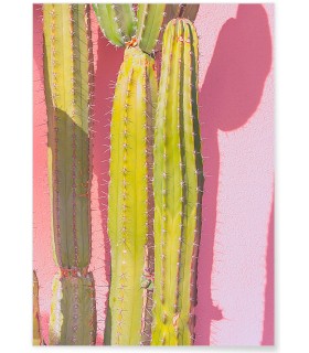 Affiche nature Cactus 3