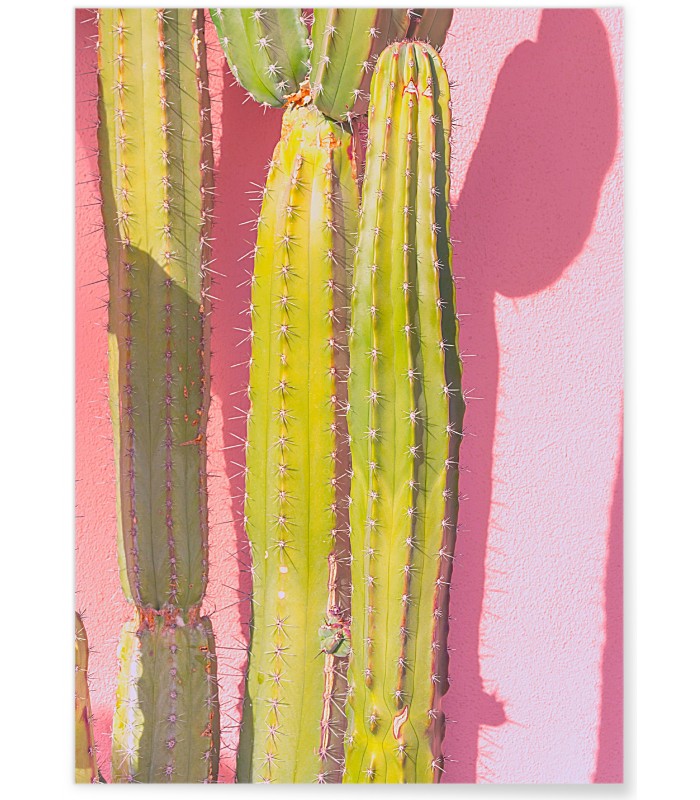 Affiche nature Cactus 3