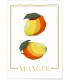 Affiche Abstract Mangue