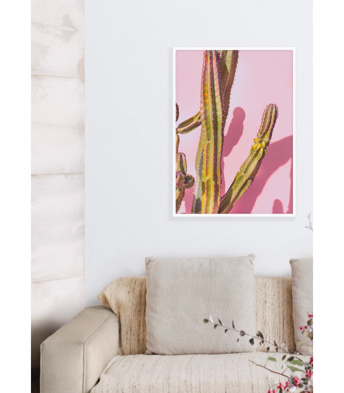 Affiche nature Cactus 4