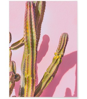Affiche nature Cactus 4