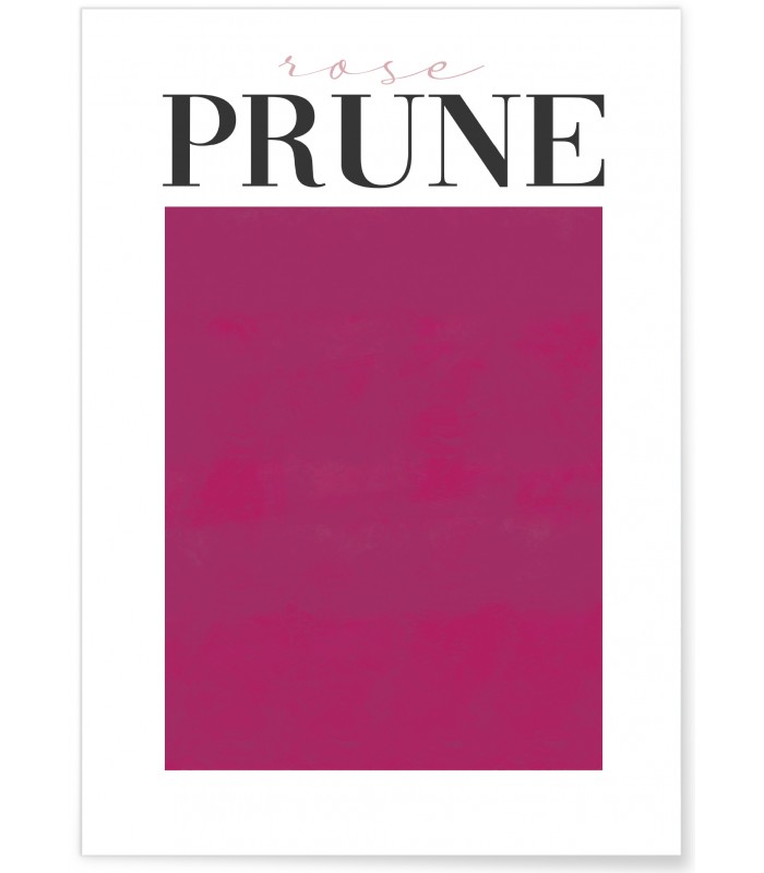 Affiche Rose prune