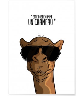 Affiche "Sobre comme un chameau"