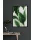 Affiche Misty Leaves