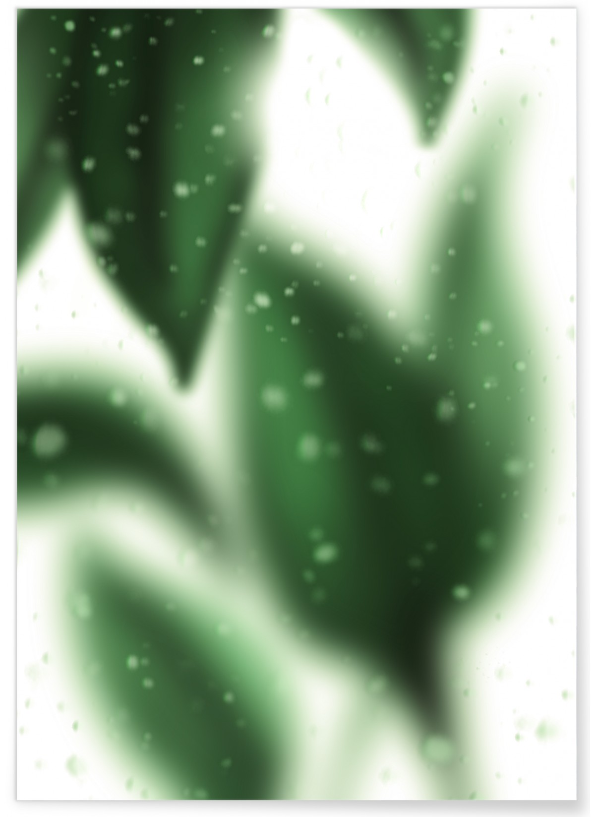 Affiche Misty Leaves