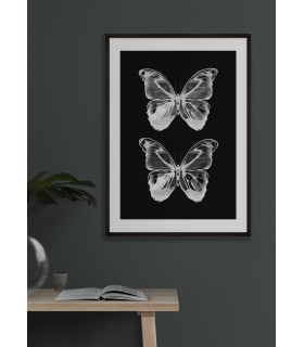 Affiche Papillons 2
