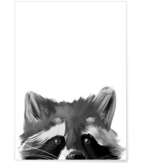 Affiche Racoon