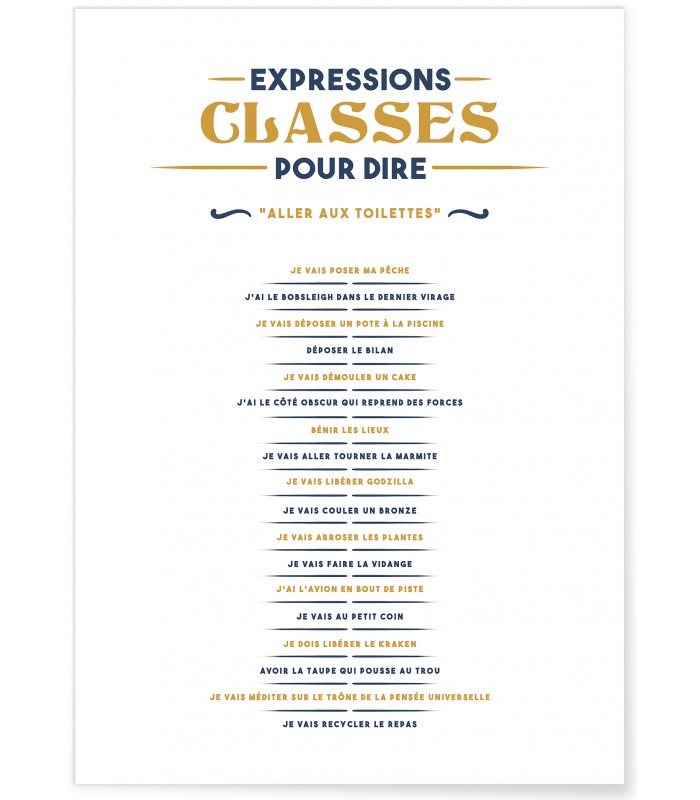 Affiche Expressions classes pour dire "Je vais aux toilettes"