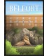 Affiche Belfort