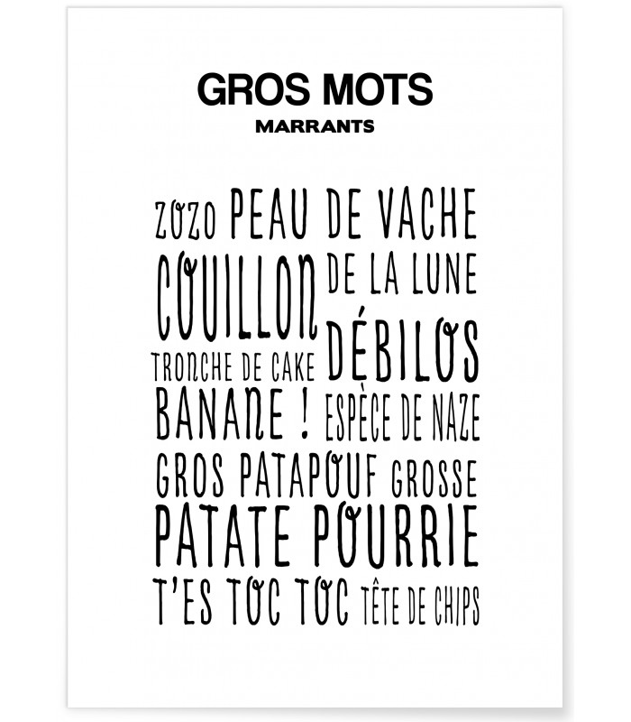 Affiche Gros Mots Marrants