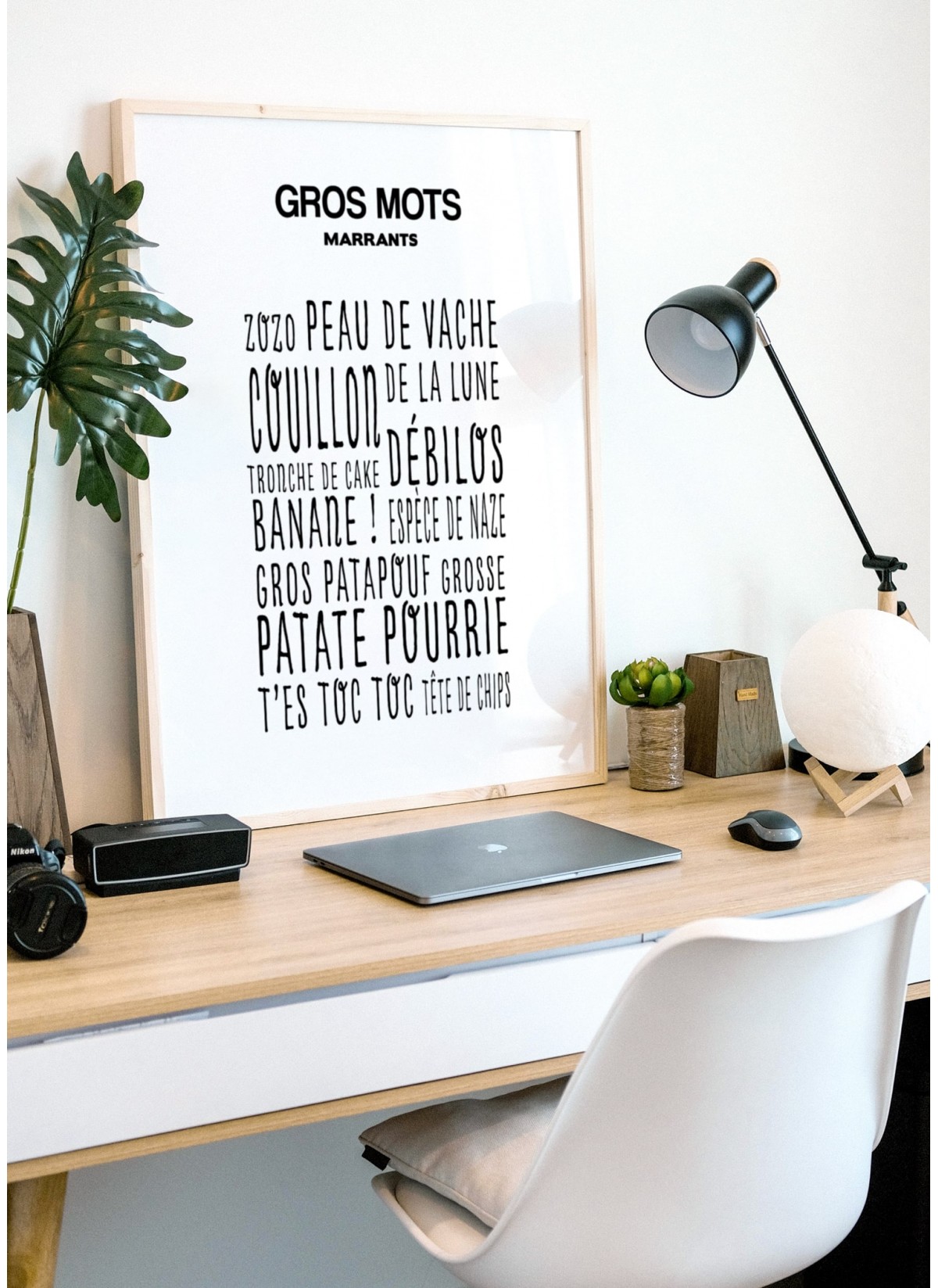 Affiche Gros Mots Marrants