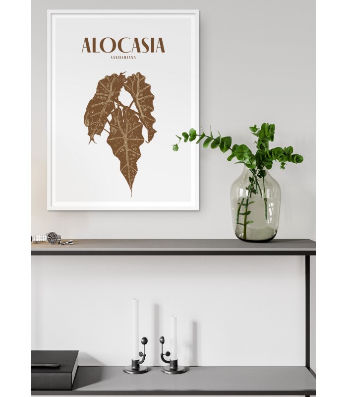 Affiche "Alocasia"