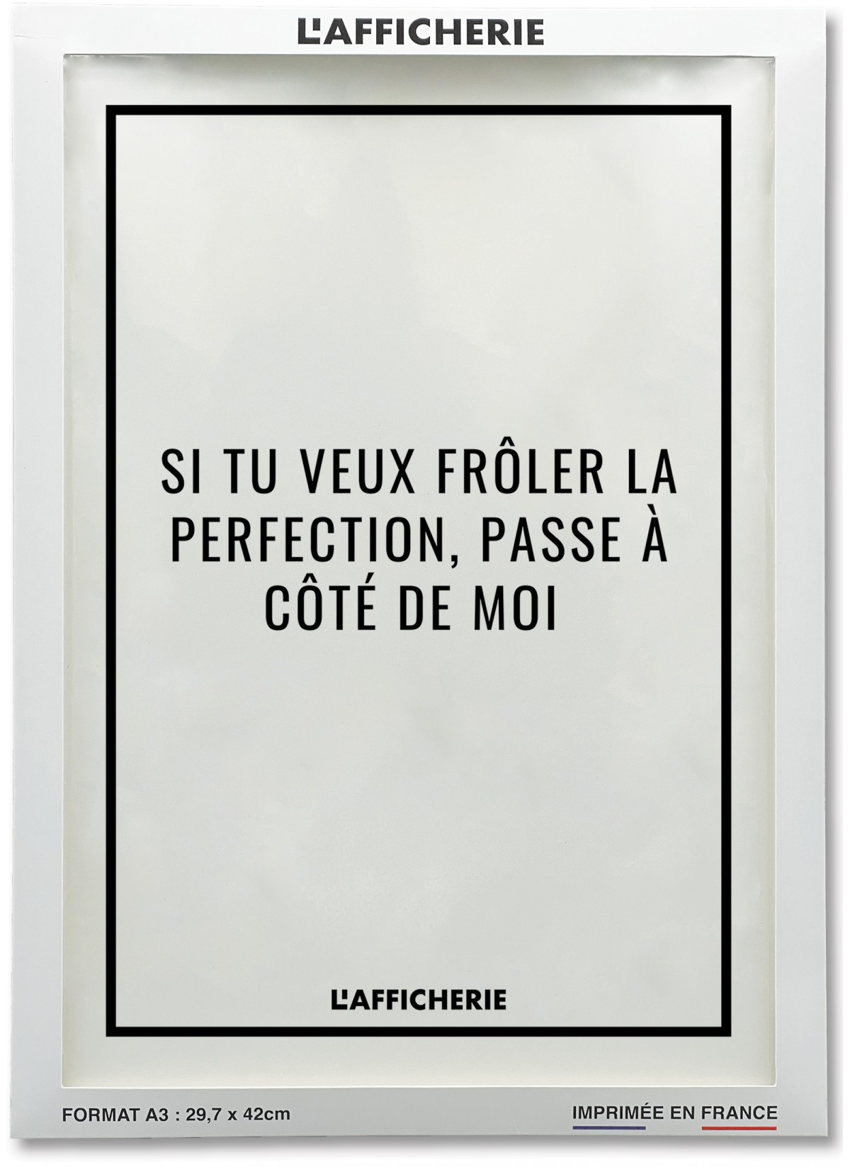 Affiche "Si tu veux frôler la perfection...", Affiche Drole pour salon |  L’Afficherie