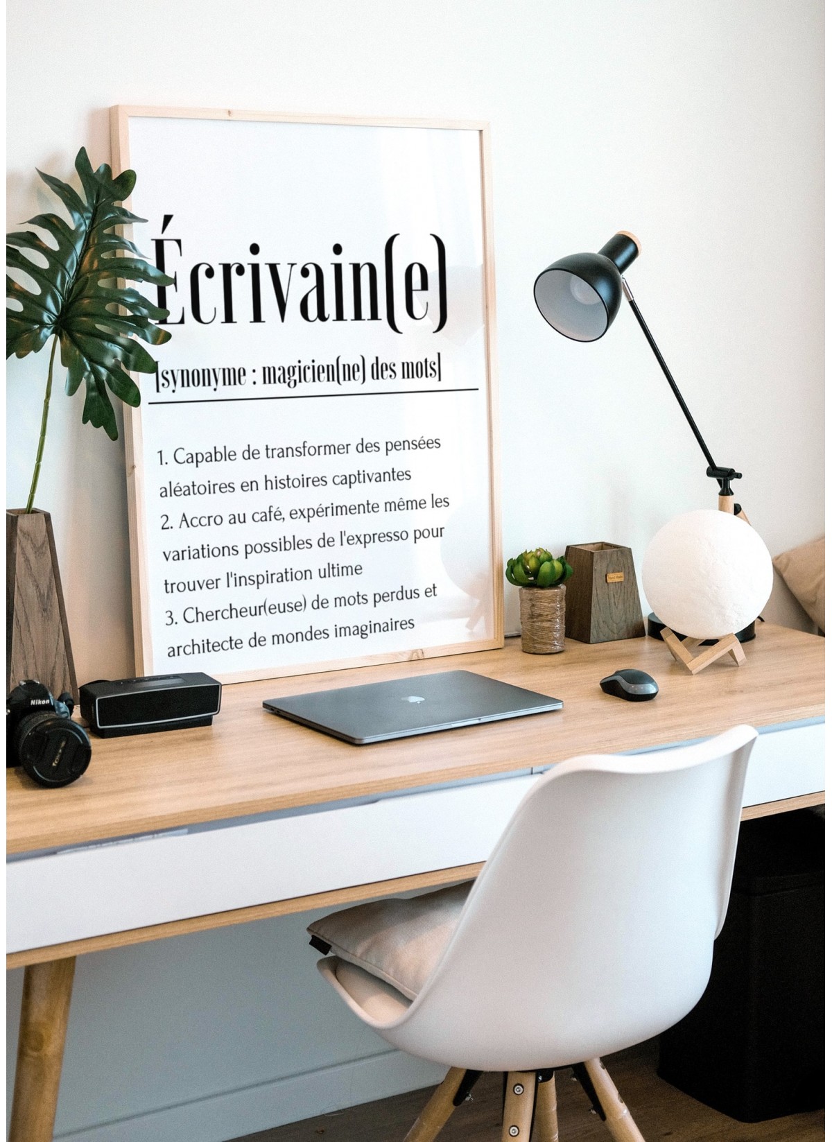 Affiche Définition Écrivain(e)