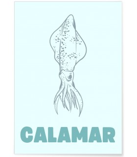 Affiche Calamar