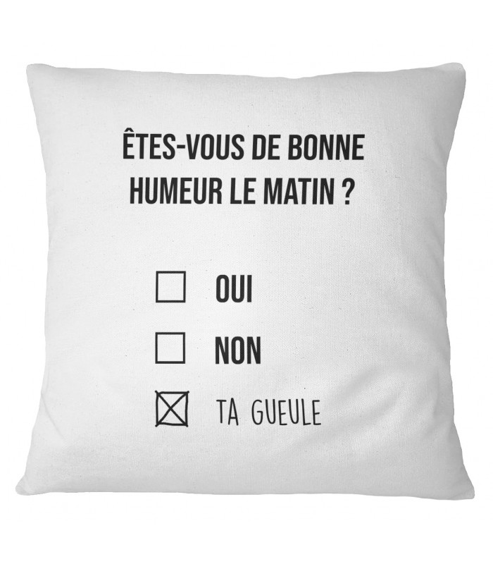 Coussin Êtes vous de bonne humeur ?