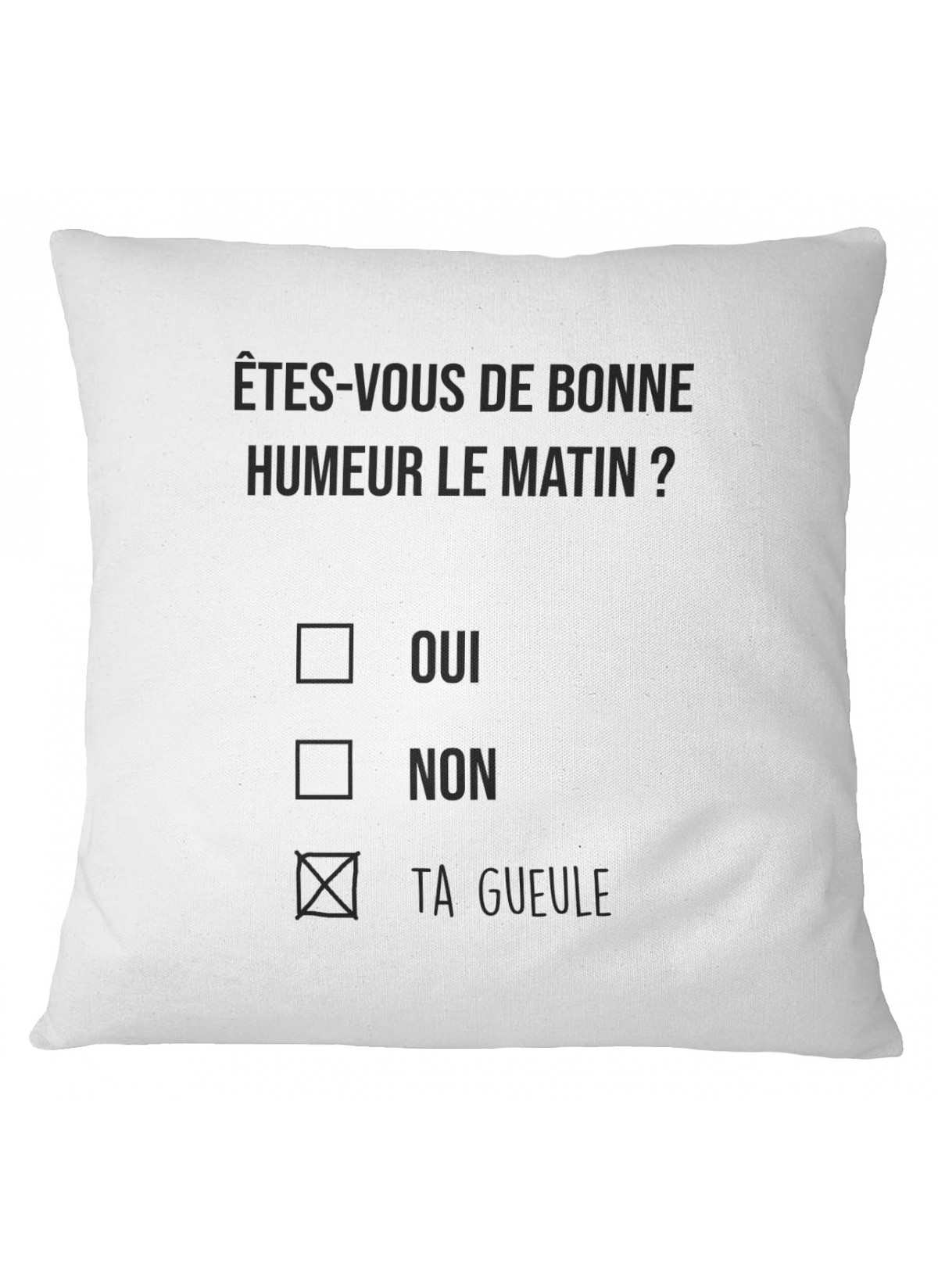 Coussin Êtes vous de bonne humeur ?