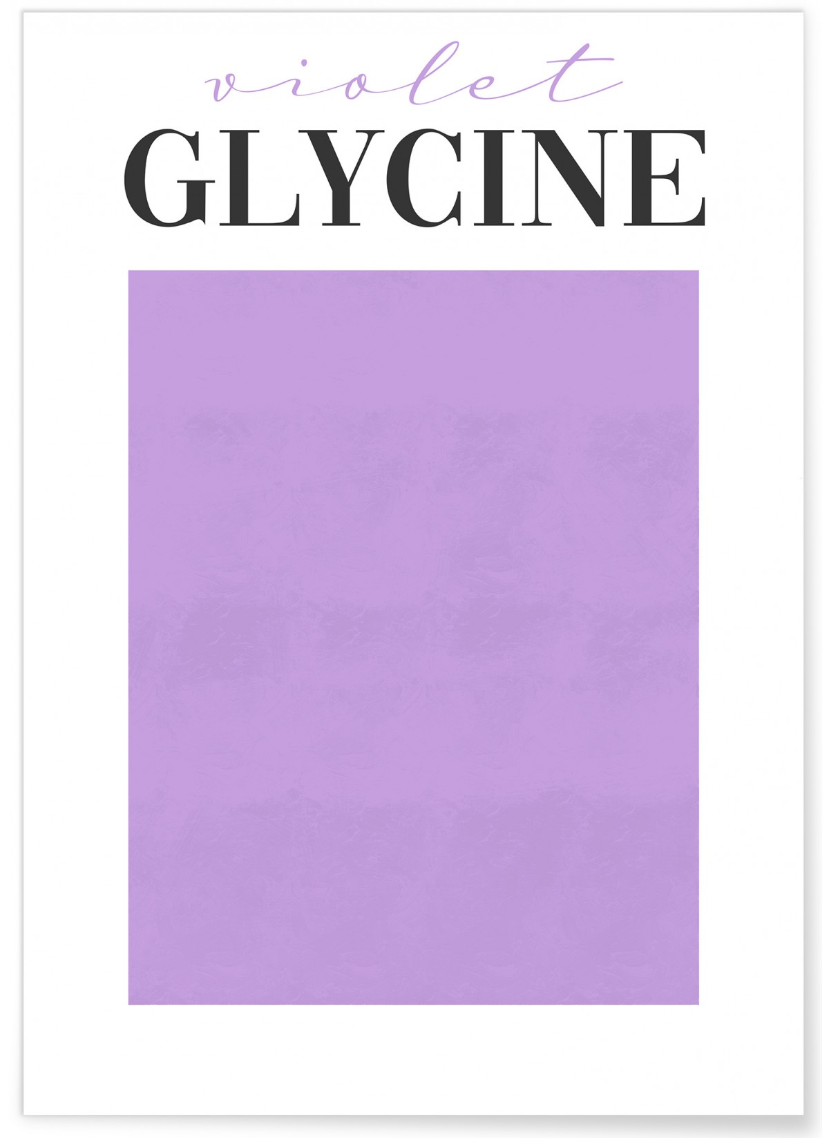 Affiche Violet Glycine