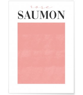 Affiche Rose Saumon