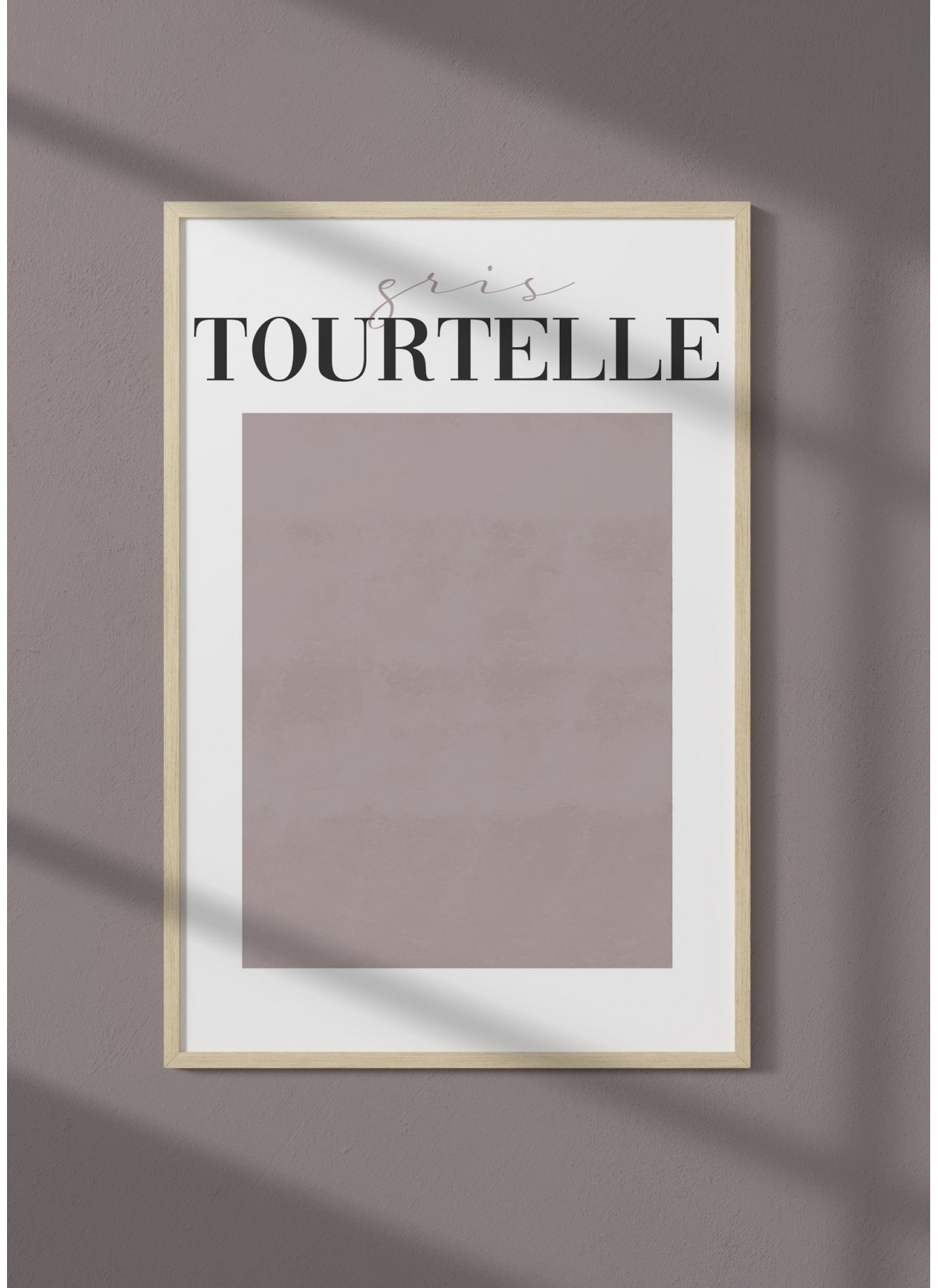Affiche Gris Tourtelle