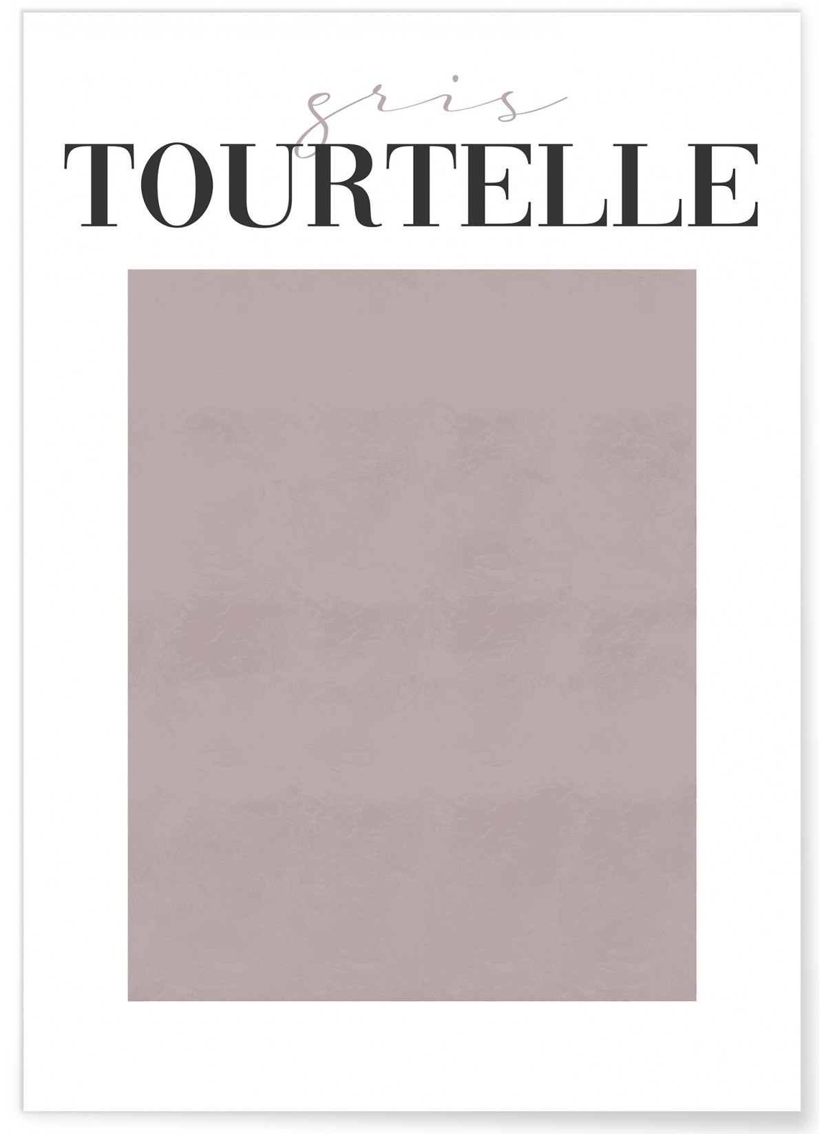 Affiche Gris Tourtelle