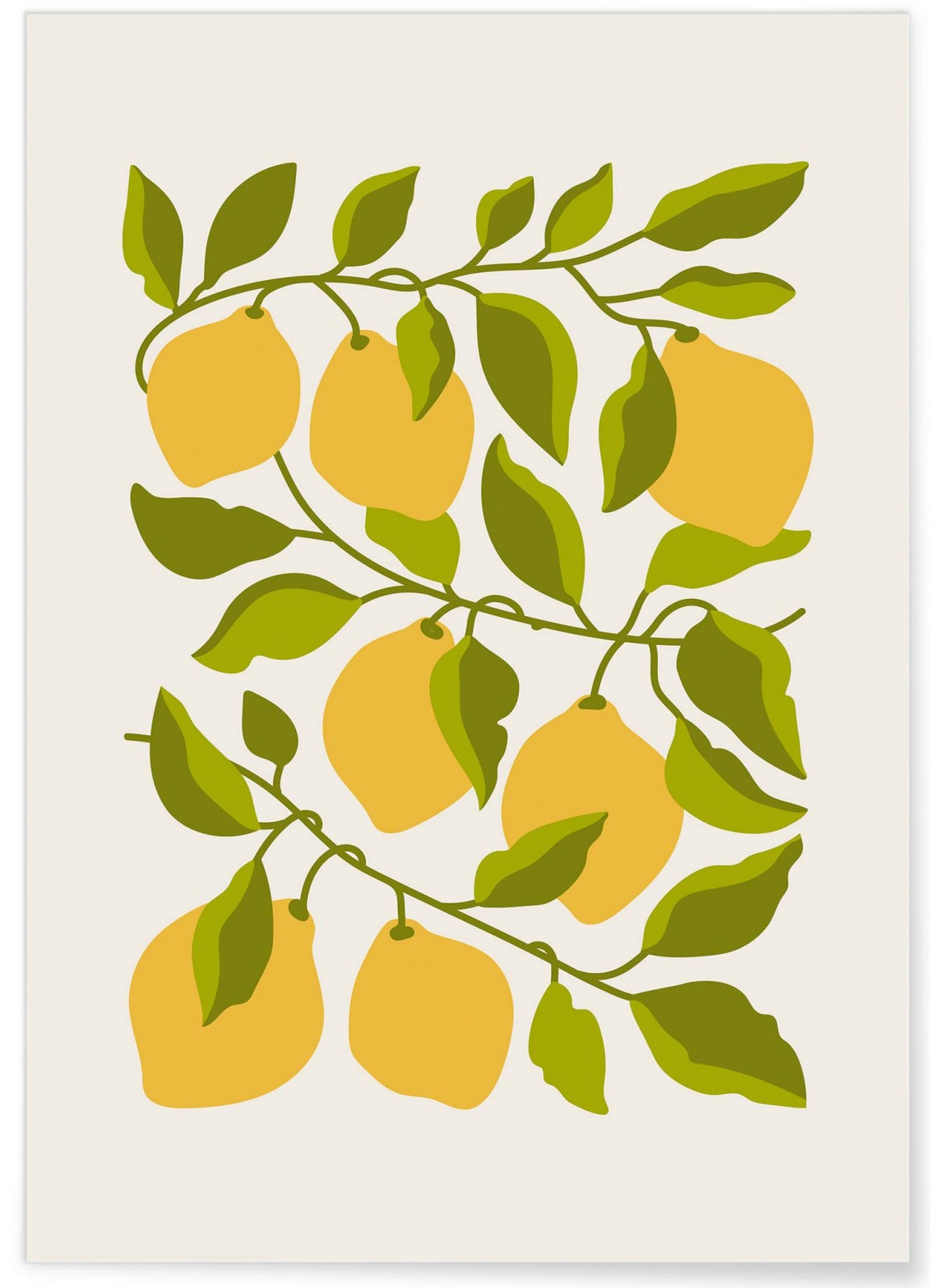 Affiche Citronnier