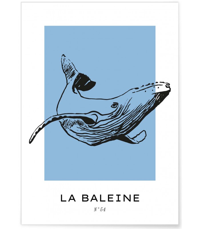 Affiche La baleine