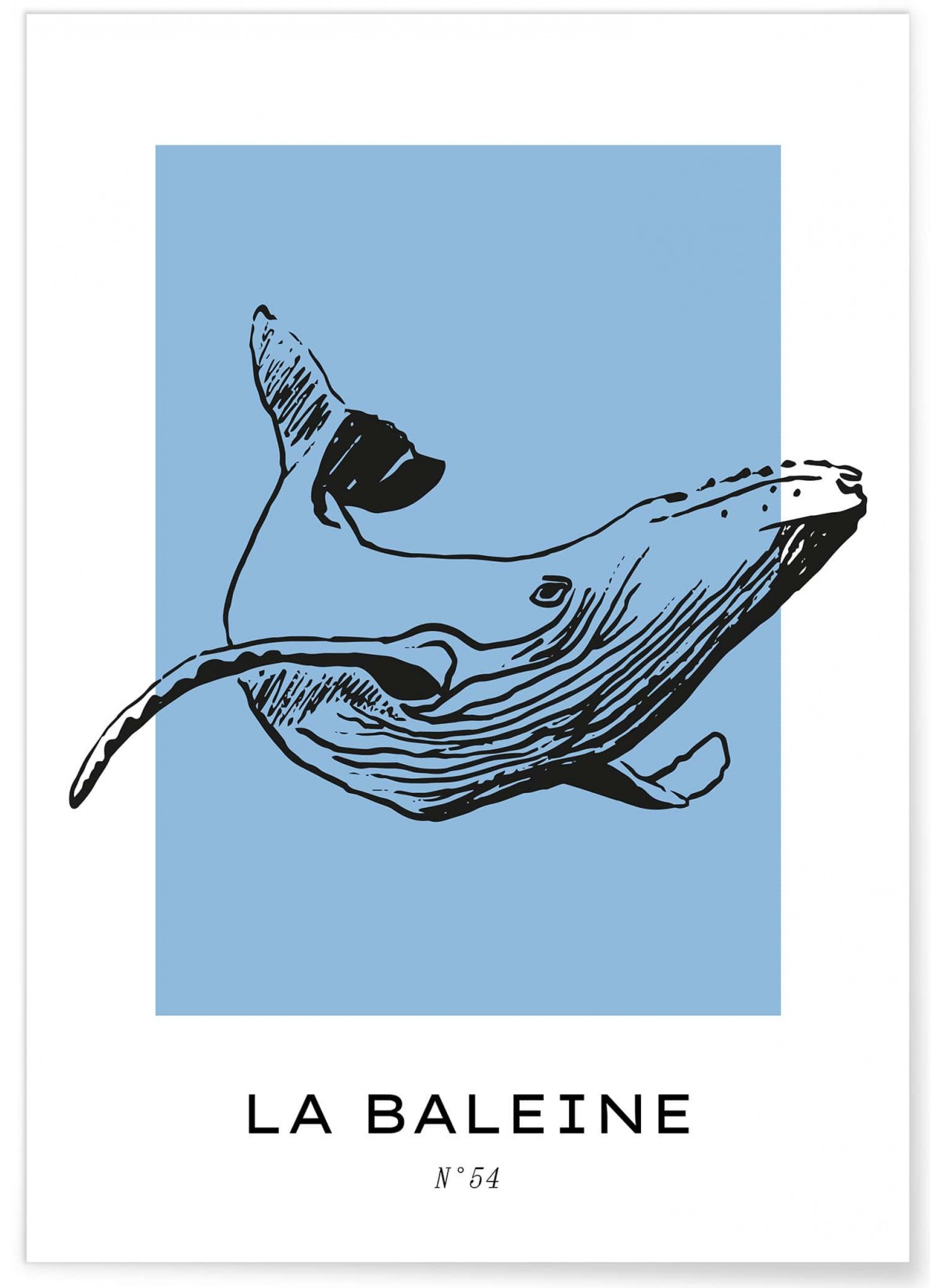 Affiche La baleine