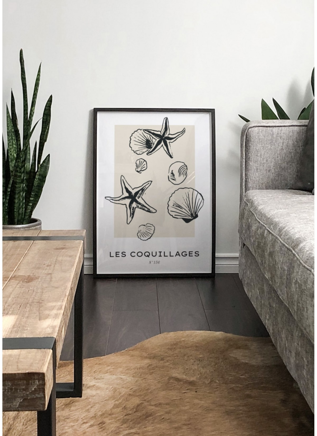Affiche Les coquillages