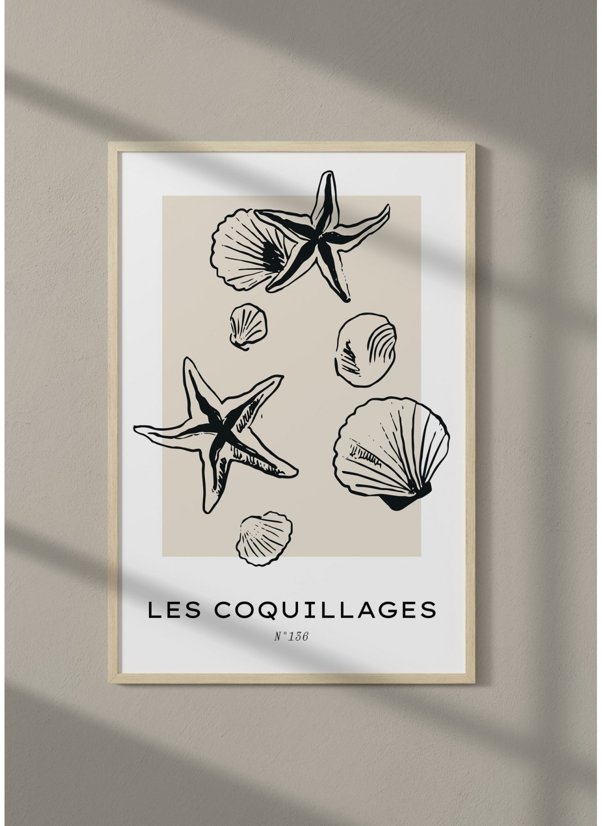 Affiche Les coquillages